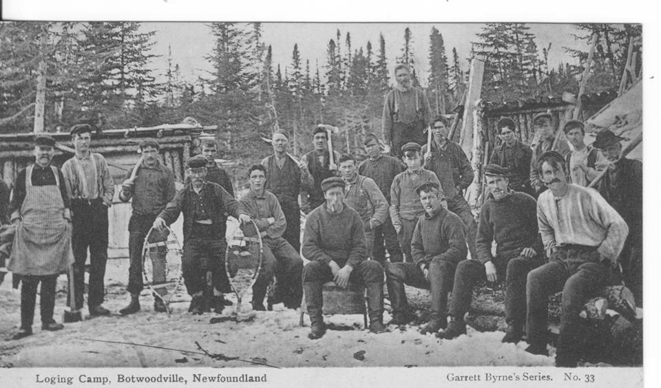 Crew of Exploits Lumber Company Lumber Camp. This company operated as far as Twin Lakes and established a depot at Badger in the 1890's. 